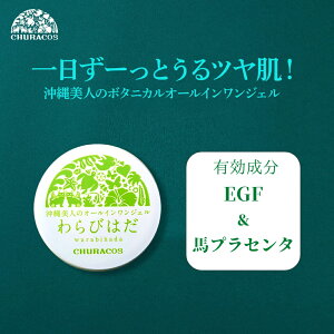 わらびはだ 30g 角質 保湿 1個 2個 3個 ヒアルロン酸 馬プラセンタ シワ たるみ ゴワつき ハリ ツヤ 1本4役 無添加オールインワンジェル イボ 角質 保湿 首イボ デコルテ 女性 人気 プレゼント 母の日