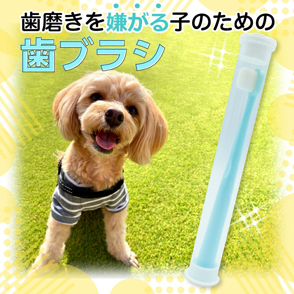 【期間限定！エントリーで最大10倍！(～5/15)】 3本セット 痛くないフサフサ 超極細毛 犬 歯ブラシ 小型犬 はぶらし 犬用歯ブラシ 犬用ハブラシ 犬 歯磨き 猫 歯ブラシ 猫用歯ブラシ 猫用ハブラシ ペット PET ペット用 動物 やわらか やわらかめ 超 極細 CHURACY 送料無料 2