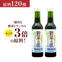 初めての方限定 1世帯1回限り 酵素ドリンク 野草の匠(やそうのたくみ)お試しボトル2本セット 甕(かめ) 仕込野草120種類 300ml 国産 お肌 毎日の疲...