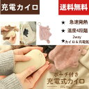 【楽天マラソン期間中P5倍!】【送料無料】カイロ USB 充電式 繰り返し使える モバイルバッテリー コンパクト ミニ 急速発熱 温かい 温度調節 専用ポーチ付...