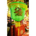 花鳥カラー提灯 緑 38cm(中華装飾 中華提灯)