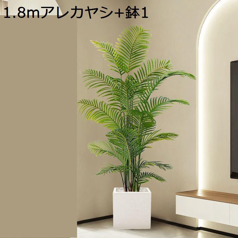 楽天市場】アレカヤシ 大型の通販