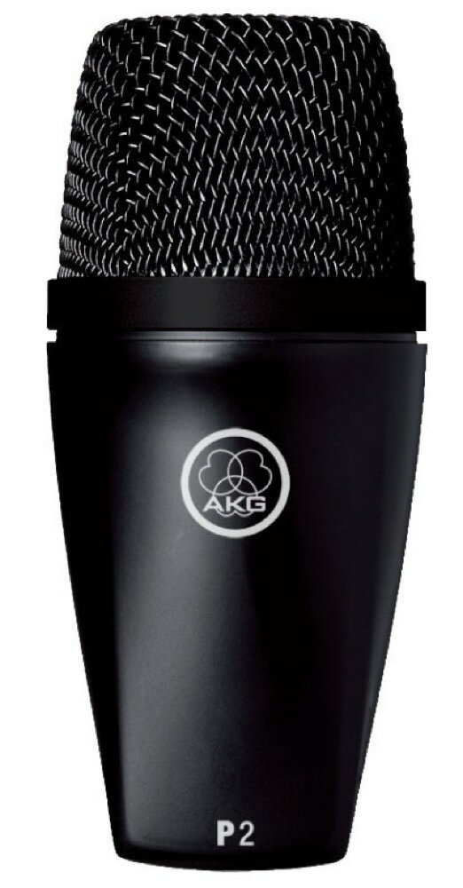 アーカーゲー AKG P2 楽器用ダイナミックマイク