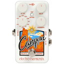 ELECTRO-HARMONIX Canyon Delay Loopers ディレイ ルーパー