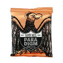 アーニーボール ERNIE BALL 2076 Paradigm Phosphor 12-54 アコースティックギター弦