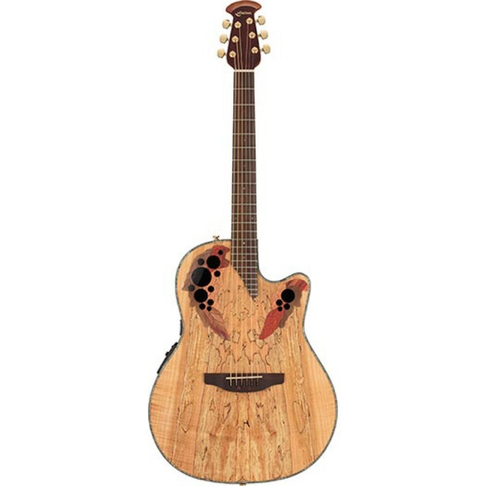 オベーションギター OVATION CE44P-SM-G Celebrity Elite Plus Spalted Maple エレクトリックアコースティックギター エレアコ