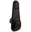 PROTEC CTG234 Electric Guitar Contego PRO PAC Case Black エレキギター用セミハードケース