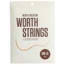 Worth Strings BM-LG Medium Low-G セット ウクレレ弦 その1