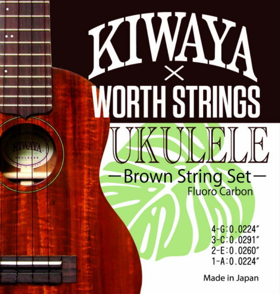 KIWAYAWORTH STRINGS K-BM 츹