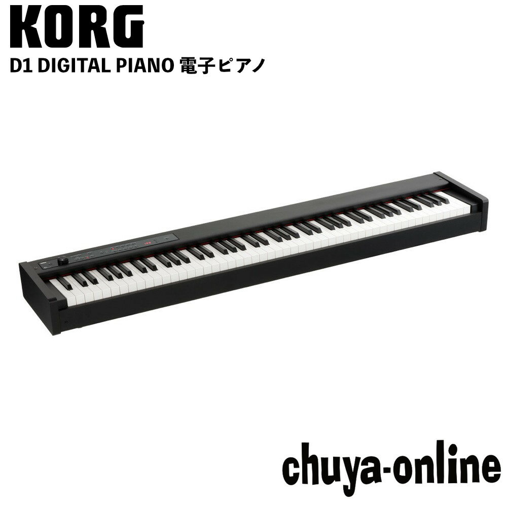 コルグ KORG D1 DIGITAL PIANO 電子ピアノ