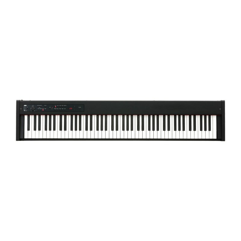 DIGITAL PIANO D1