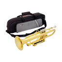 【2/15エントリーで最大P20倍】 pInstruments pTrumpet hyTech Gold PTRUMPET1HTG プラスチック製トランペット