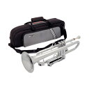 【2/15エントリーで最大P20倍】 pInstruments pTrumpet hyTech Silver PTRUMPET1HTS プラスチック製トランペット