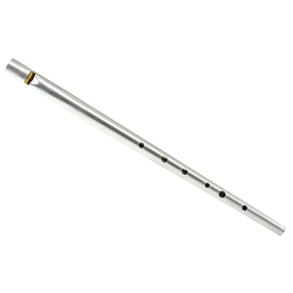 CLARKE OND TIN WHISTLE Original Silver Coated D ƥۥå DĴ