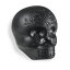 LP LP006-BK Sugar Skull Shaker Black 