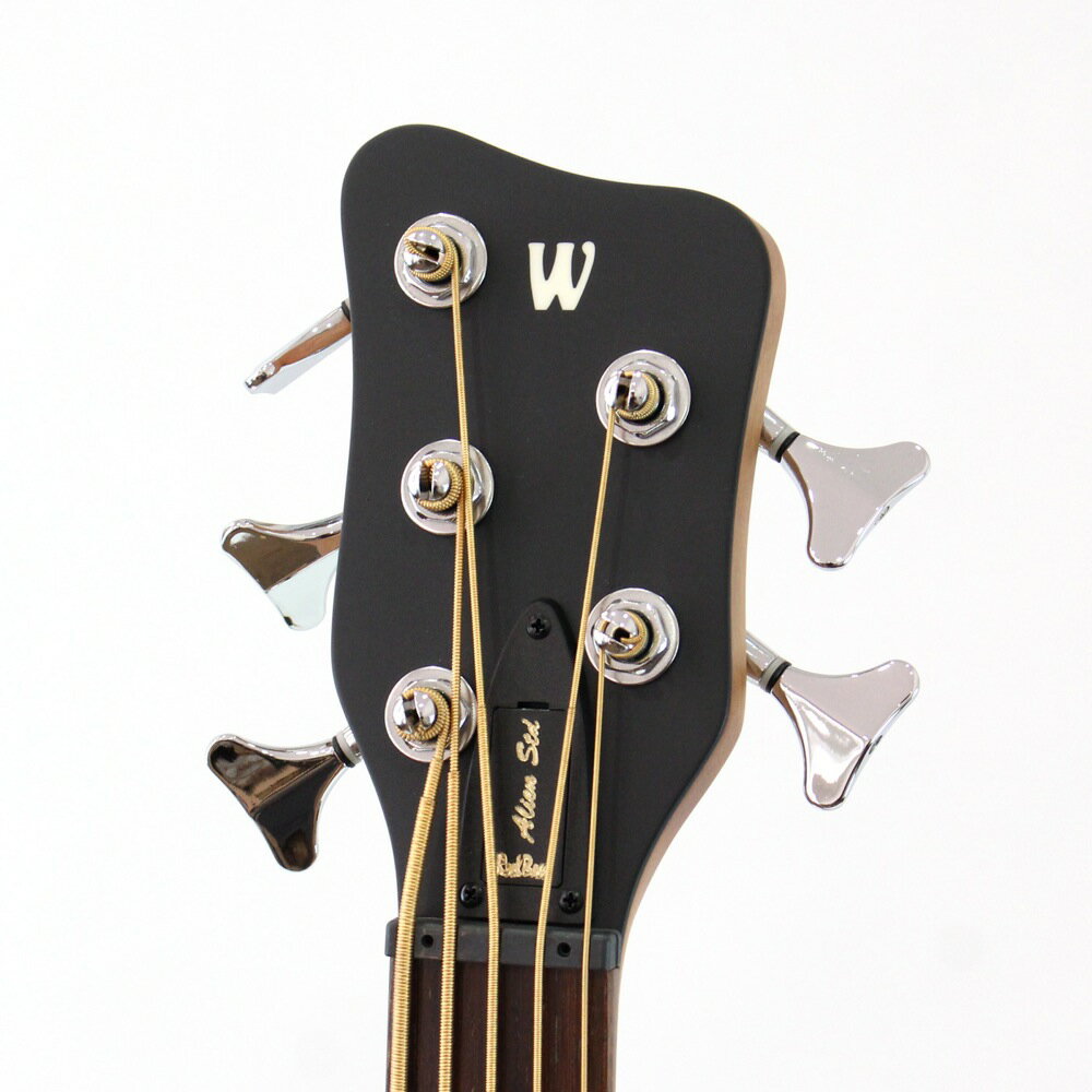 WARWICKRockbassAlienStandard5WSSANTS5弦アコースティックベース