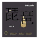 D'Addario PIPA01 ipa Strings Medium Tension 17-39 琵琶弦 その1
