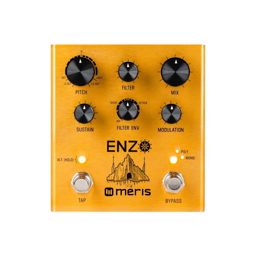 Meris EZO-DST Enzo Pedal マルチボイスシンセサイザーペダル エフェクター