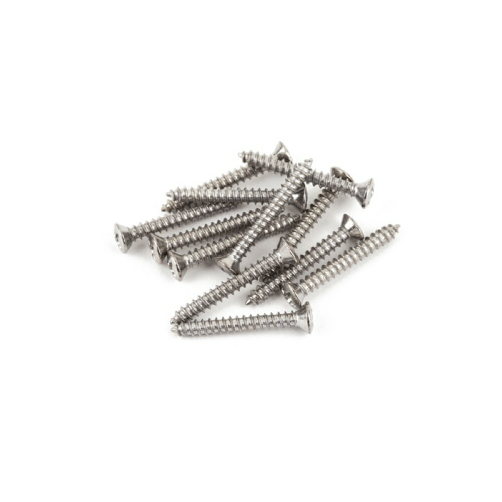 フェンダー Fender Bass/Telecaster Bridge/Strap Button Mounting Screws ネジ 12本入り