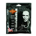 ロトサウンド ベース弦 1セット BS66 Billy Sheehan Signature Sets Custom 43-110 エレキベース弦 ROTOSOUND