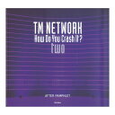 TM NETWORK How Do You Crash It two AFTER PAMPHLET リットーミュージック