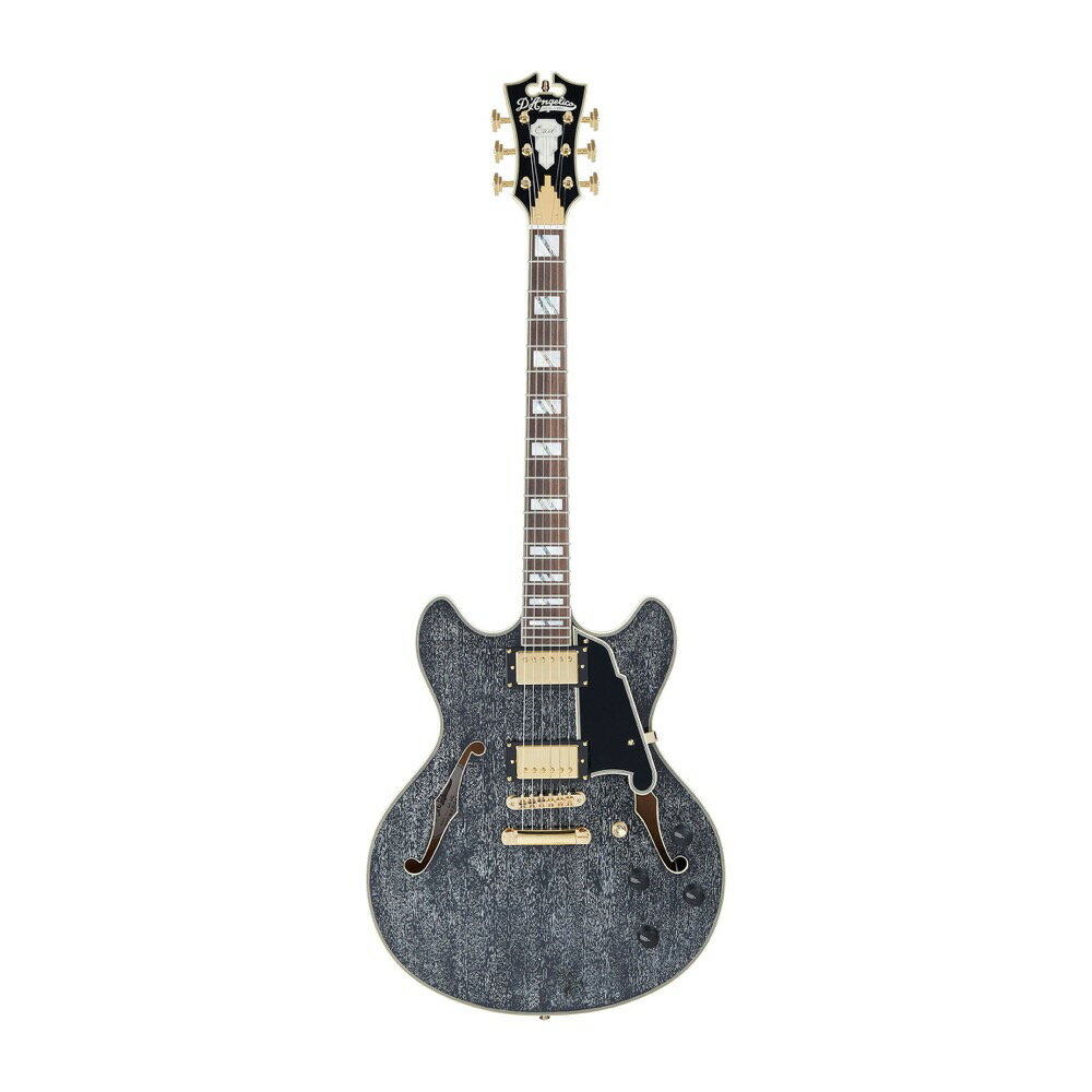 D'Angelico Excel DC Black Dog GLM^[