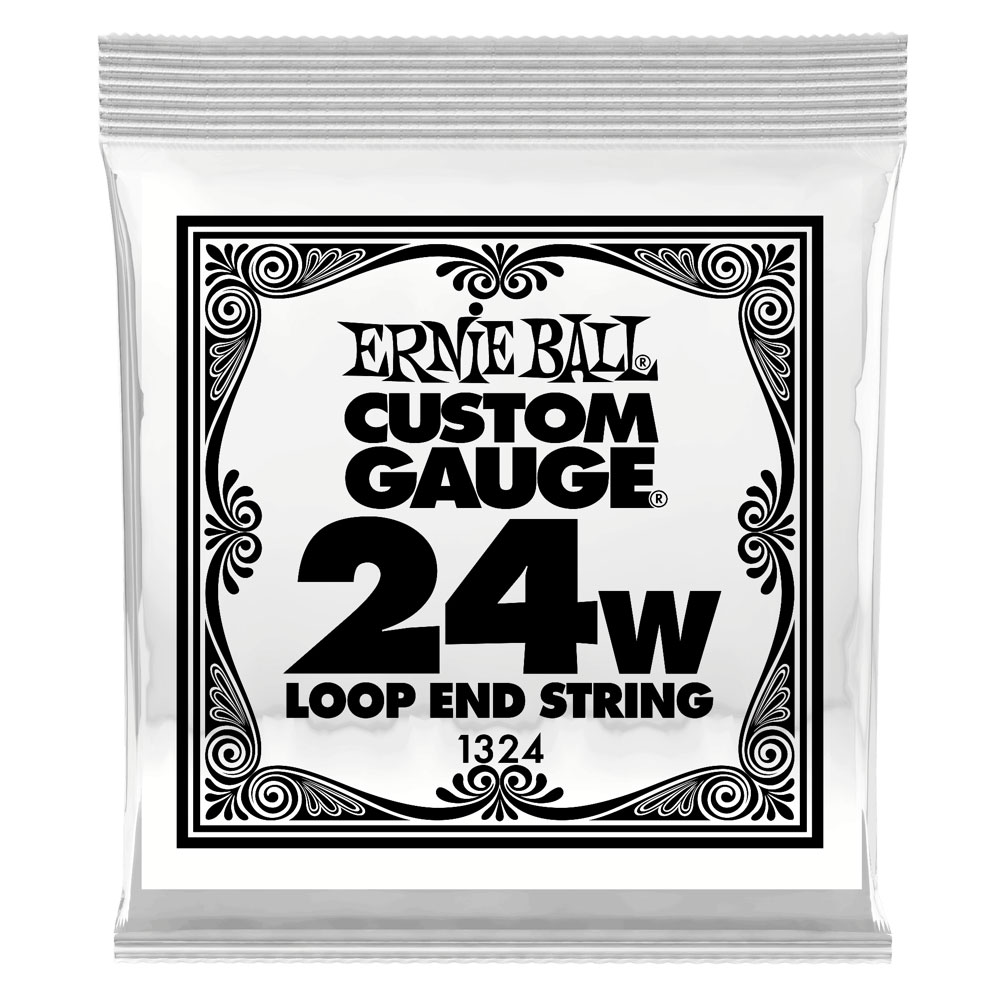 アーニーボール ERNIE BALL 1324 .024 Loop End Stainless Steel Wound Banjo or Mandolin Guitar String バンジョー…