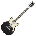 D'Angelico Premier Brighton Black Flake エレキギター(2)