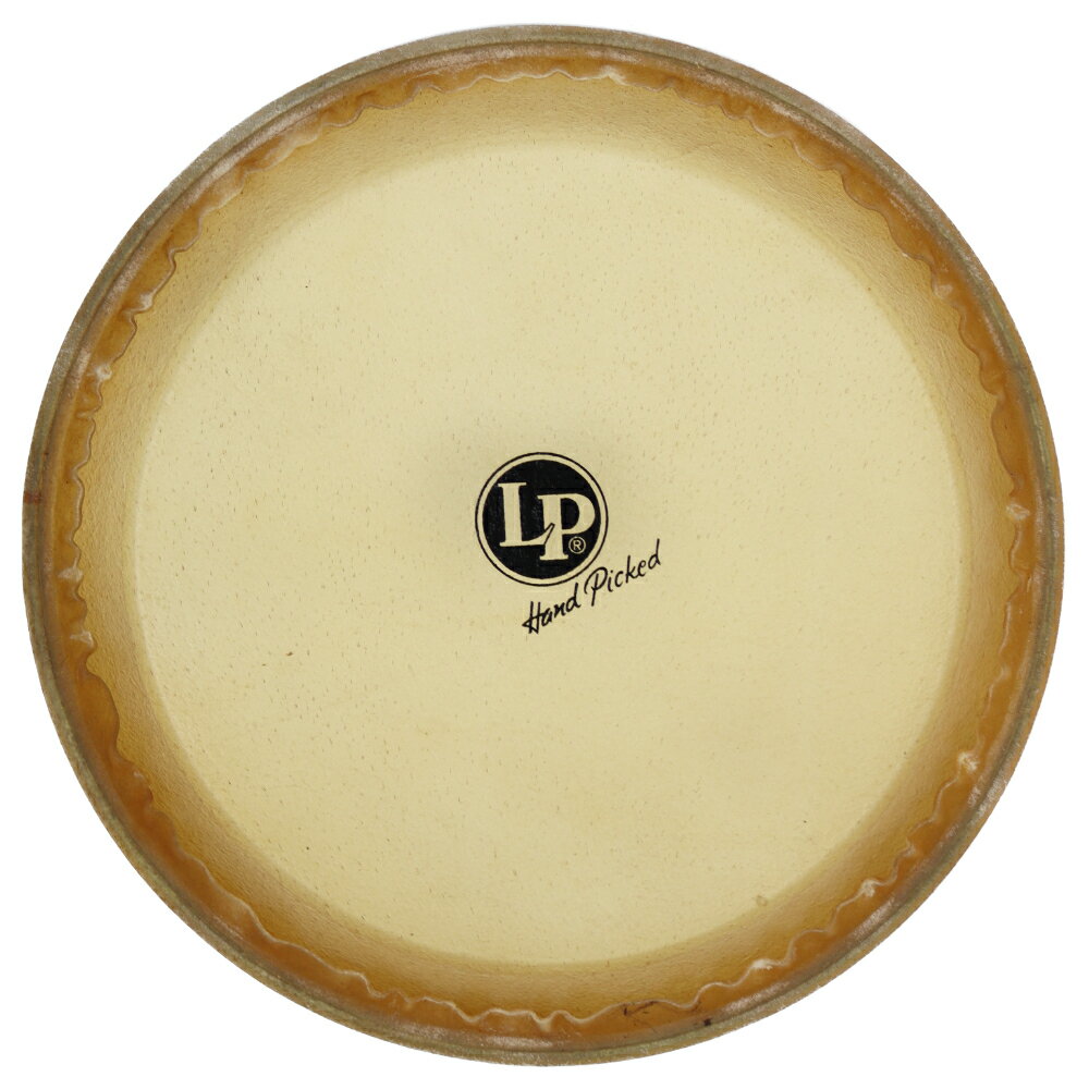 LP LP803A コンガヘッド 9 3/4 コンガ用ヘッド