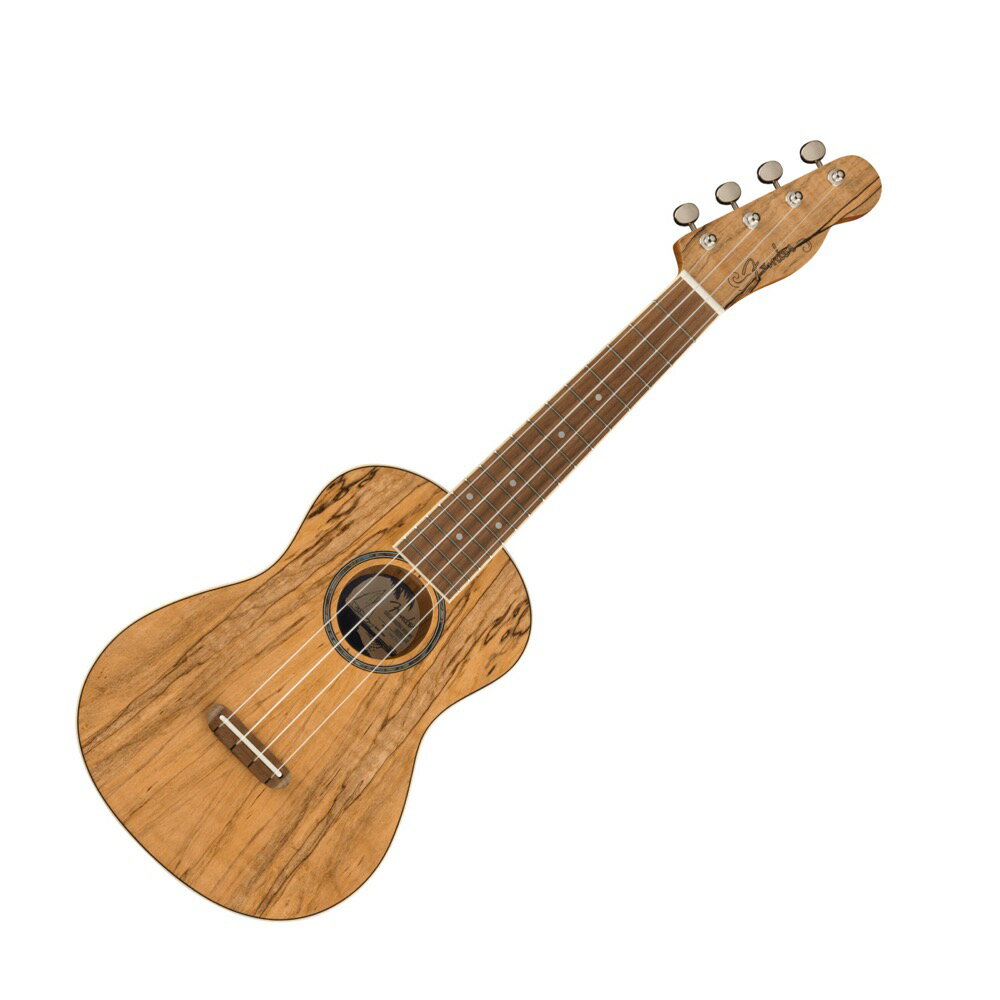 フェンダー Fender Zuma Exotic Concert Ukulele SPALTED WN コンサートウクレレ