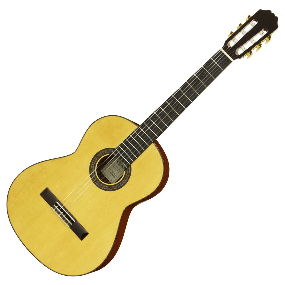 ARIA ACE-5S 640 Spruce 饷å