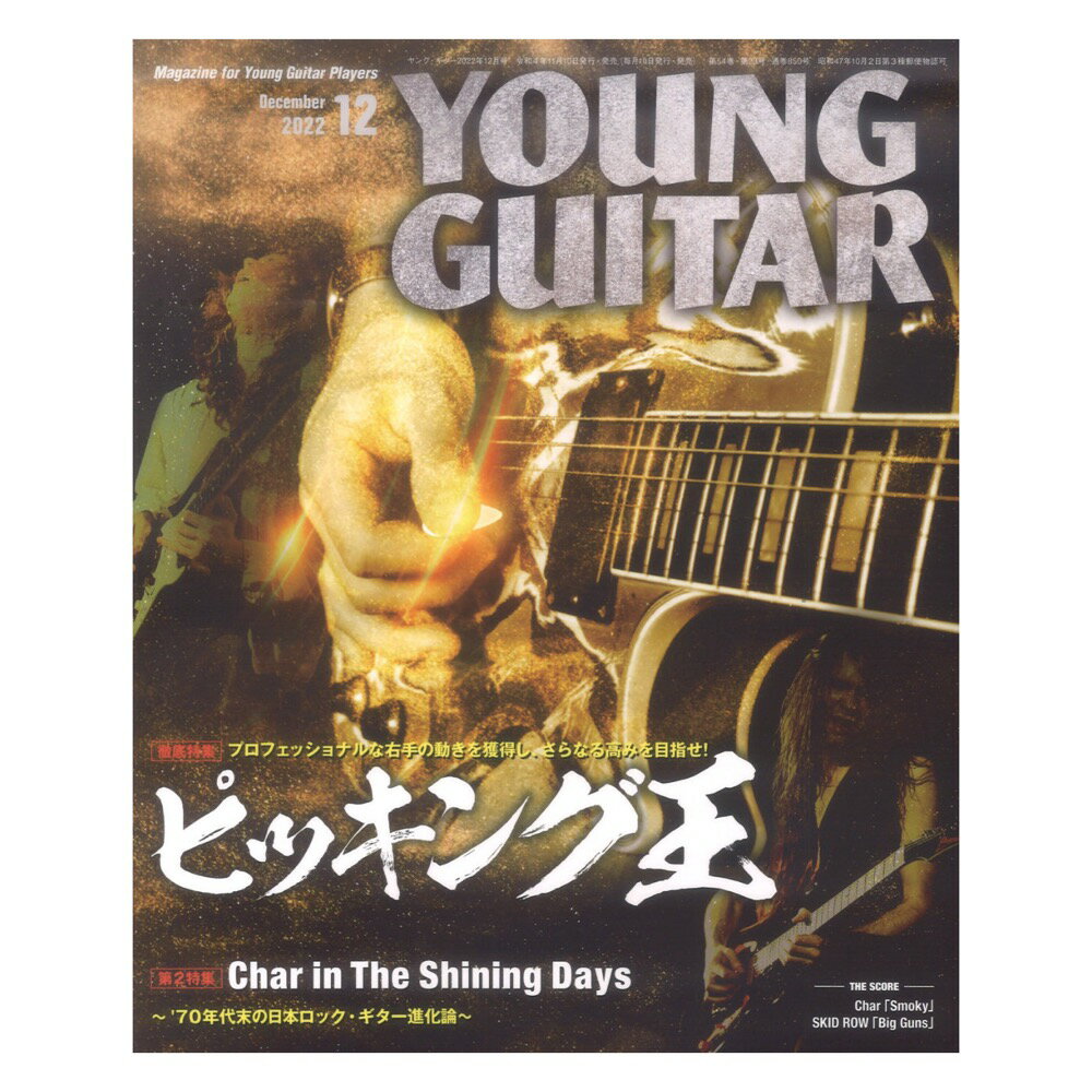 YOUNG GUITAR 2022N12 VR[~[WbN