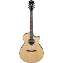 Ibanez MRC10-NT Marcin Patrzalekモデル エレクトリックアコースティックギター