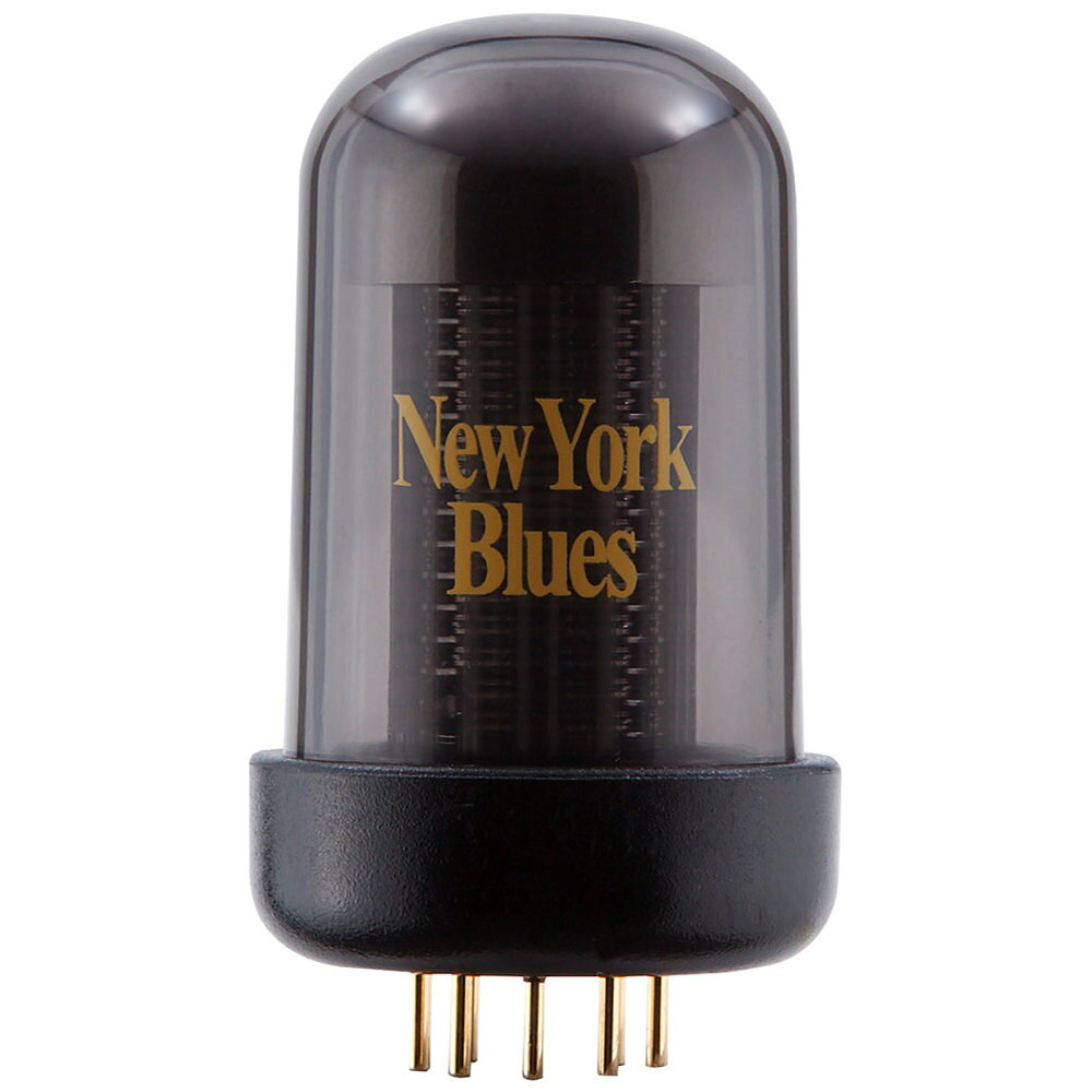 ローランド ROLAND BC TC-NY Blues Cube New York Blues Tone Capsule ブルースキューブアンプ用トーンモディファイユニット ニューヨークブルース