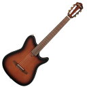 Ibanez FRH10N-BSF エレガットギター