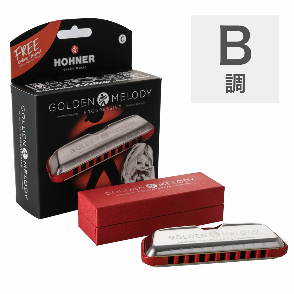 ホーナー ハーモニカ B調 HOHNER Golden Melody Progressive B 10ホールハーモニカ ブルースハープ ブルースハーモニカ