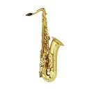 Chateau シャトー CTS-A70GL テナーサックス イエローブラス ゴールドラッカー仕上げ【α STANDARD SERIES Tenor Saxophone】Standard α seriesはハンドメイドシリーズに採用されている一体型キィポストを半分だけ使用したコンビネーションキィポストを採用。これはαシリーズにのみ搭載されたシステムで、軽快な吹奏感と力強さの両方を際立たせてくれます。ケースは従来の角型ケースではなくシェイプ型を採用。持ち手はハンドル、リュック、肩掛けの3Wayでご利用いただけます。【仕様】αスタンダードシリーズ / テナーサックス● 管体：イエローブラス / ゴールドラッカー仕上げ● Key：B♭● その他仕様：プラスチック製サムフック/サムレスト、ピゾーニ・Proパッド、コンビネーションキィポスト(左手:台座一体型 右手:独立型)● 付属品：シェイプ型ケース、マウスピース、リガチャー、グリス、ストラップ、スワブ、リード