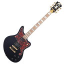 D'Angelico fBAWFR Deluxe Bedford Black GLM^[