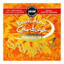 SAVAREZ 510ERP Evolution Cantiga PREMIUM Normal tension クラシックギター弦Evolution Cantiga PREMIUM「1弦 ナイロン(NEW CRISTAL)」、「2、3弦 フロロカーボン(ALLIANCE)」、「4~6弦 カンティーガプレミアム」 のセット。低音弦「カンティーガプレミアム」カンティーガで使用している芯線に、全く新しい合金で作られたワイヤーをワウンドする事で、より広がりのある倍音を実現。高音域の倍音、 低音のさらなるサステインが特徴です。リッチでクリアー、きらびやかでパワフルなサウンドのこの弦は、ロングライフも実現し、より長い間 クリアなサウンドを保ちます。反応も良く、強弱や音色の変化もしっかりと表現します。ゲージ：Normal tension