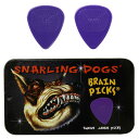 D'Andrea ダンドレア BRAIN PICKS Pick Set TNSDB351 .60 ピックケース付きギターピック12枚セット