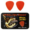 D'Andrea ダンドレア BRAIN PICKS Pick Set TNSDB351 .73 ピックケース付きギターピック12枚セット