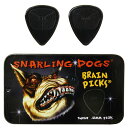 D'Andrea ダンドレア BRAIN PICKS Pick Set TNSDB351 .88 ピックケース付きギターピック12枚セットピックケース付き12枚セット。（同サイズ12枚）両面に細かい突起の付いたピック。高い滑り止め効果が魅力です。TNSDB351 .88 :0.88 mm BlackPick Case Size 42 x 72 mm