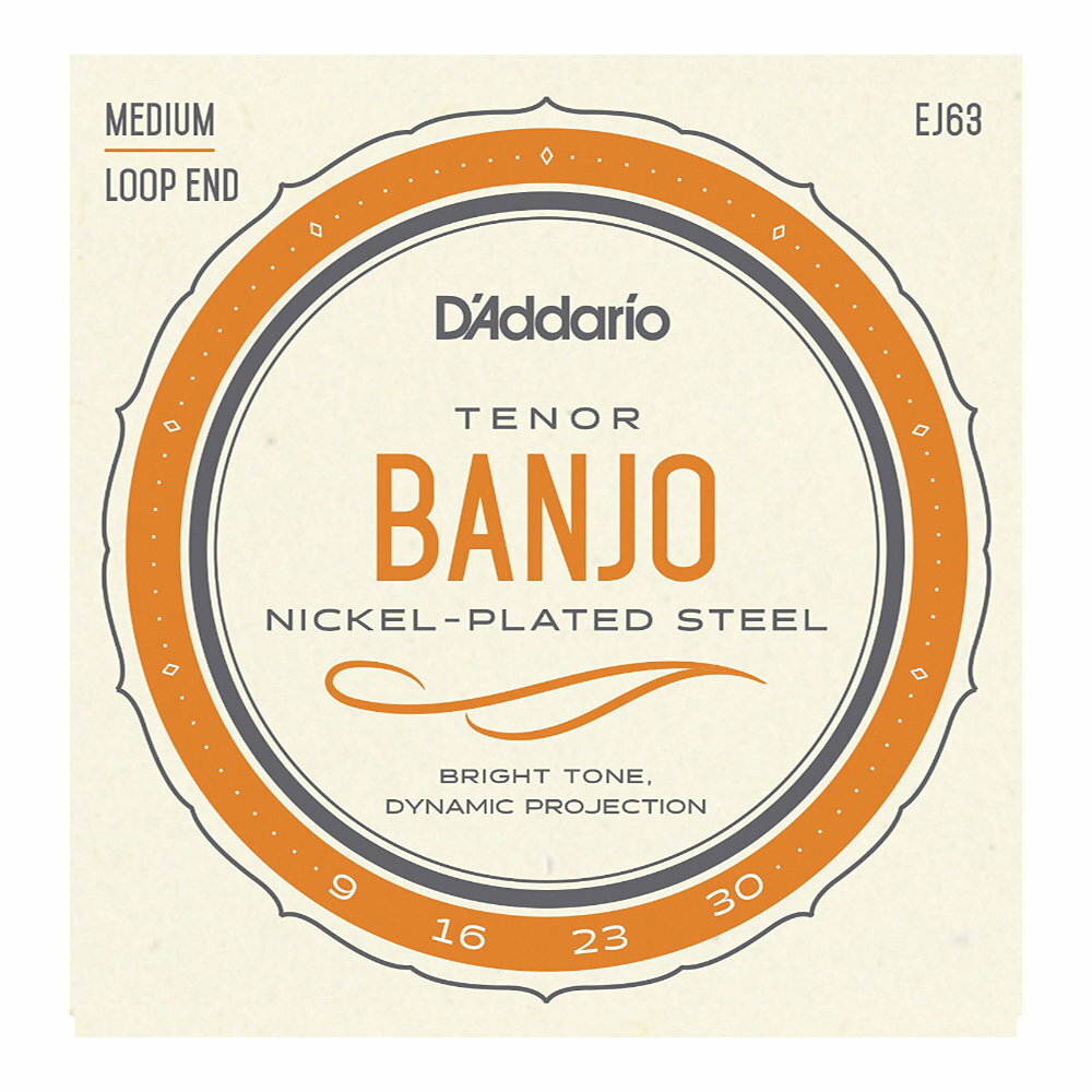 D'Addario ꥪ EJ63 Tenor Banjo Nickel Plated 9-30 ƥʡХ󥸥硼