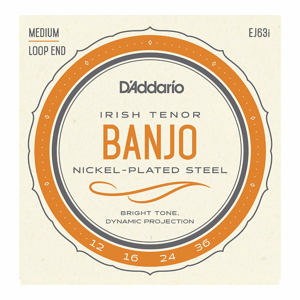 D'Addario ꥪ EJ63i Irish Tenor Banjo Nickel Plated 12-36 ƥʡХ󥸥硼