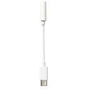 AXES ANZX ACP-01 WH USB Type-C to 3.5mm 4 Cz[qϊvO 5.5cm zCg