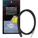 Providence プロビデンス R301 CF/3PH 0.5m マイクケーブル
