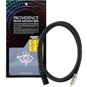 Providence プロビデンス R301 CM/RCA 0.3m マイクケーブル