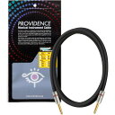 Providence プロビデンス R301 PH/PH 3m マイクケーブル