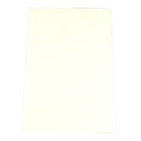 Montreux モントルー 塩ビ板 300 x 450 (mm) Aged White 1P 2mm厚 No.9736 ピックガード