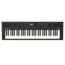 キーボード 61鍵盤 ローランド ROLAND GOKEYS5-GT GO:KEYS 5 Entry Keyboard エントリーキーボード グラファイト ブラック 自動伴奏 ボーカル入力対応